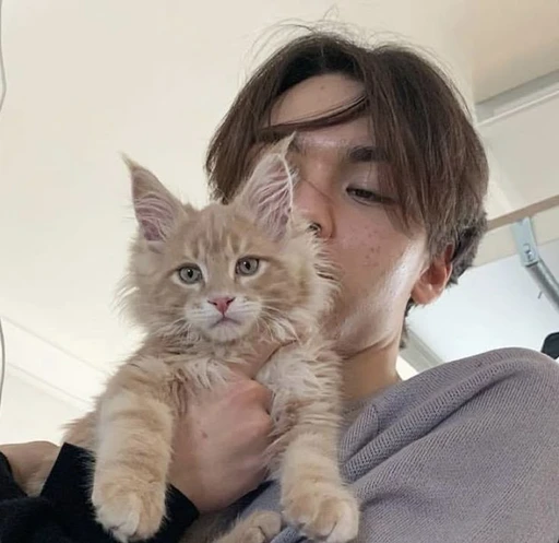 ✿    vernon / hansol    𖹭    .    he him's avatar