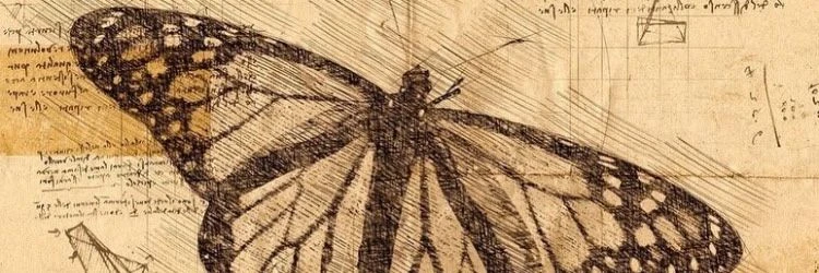 ldamien's banner