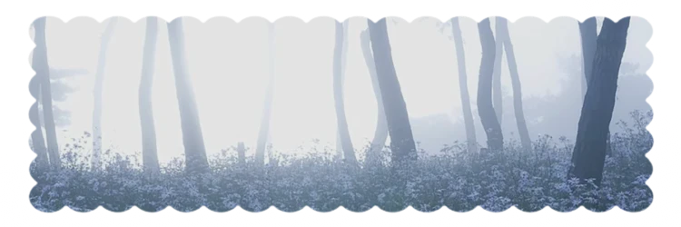 Valen's banner