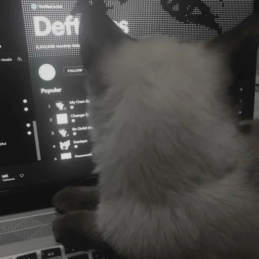 Front Silent's avatar