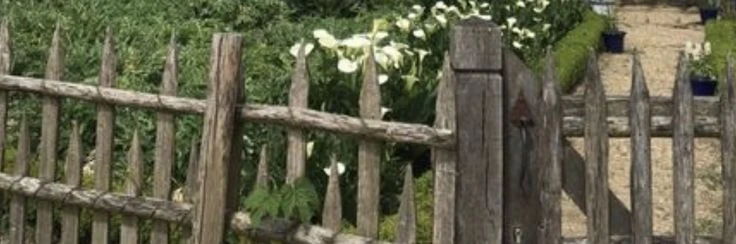 Abel. 🛡️🐾's banner