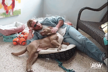 Orange Cassidy  [👻]'s banner