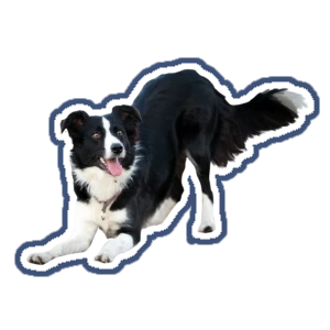 stacy🦴🐺's avatar