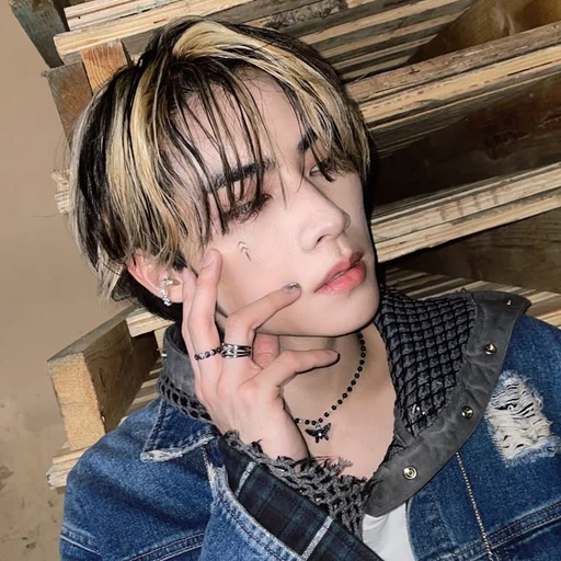 ✿    xiaojun    𖹭    .    he him's avatar