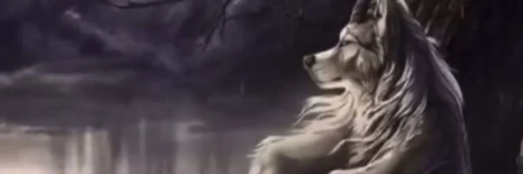 subspace.st's banner