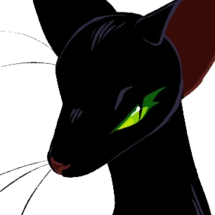 tall shadow's avatar