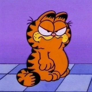 ⭒ garfield ⁈ » he . it . orange . cat's avatar