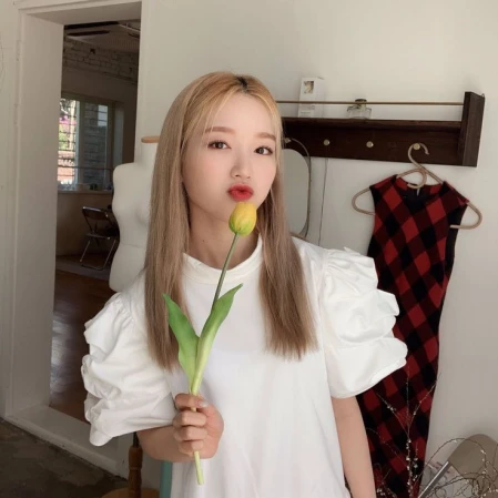 ✿    gowon / chaewon    𖹭    .    she her's avatar