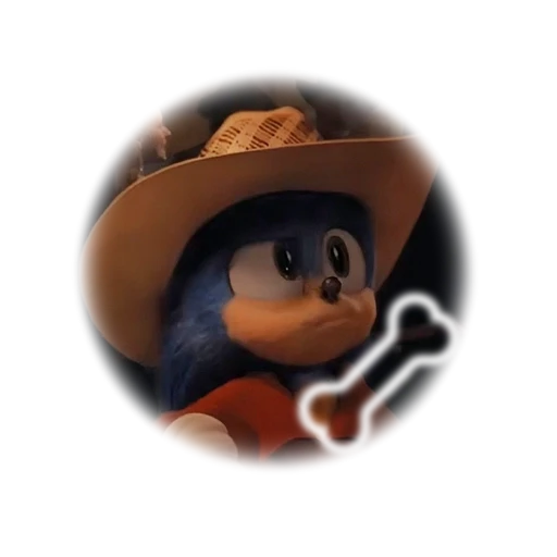 Sonic's avatar
