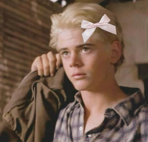✿    ponyboy curtis    𖹭    .    he they's avatar