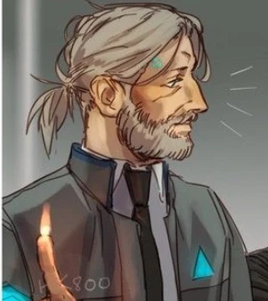HK800's avatar