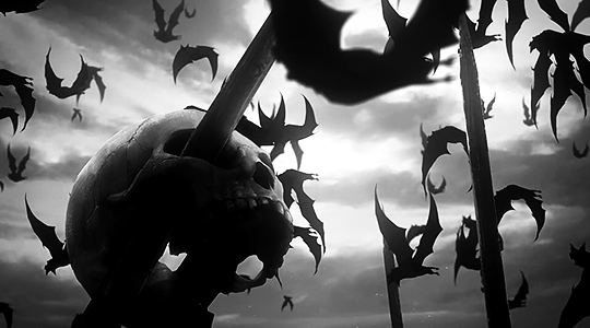 Zeno's banner