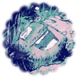 jake's avatar