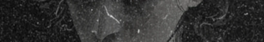 𝑨𝒆𝒔𝒐𝒑's banner