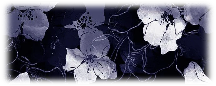 ❝ doechii / jaylah ❞ — she . xe's banner