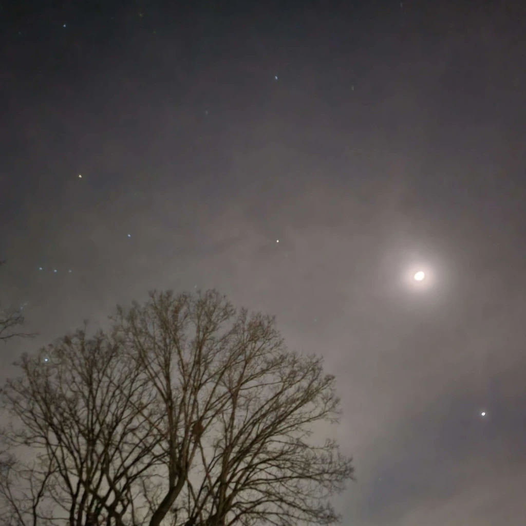 Arrow⭑ ❤️‍🔥's banner