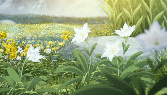 Kin's banner