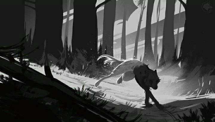 K9's banner