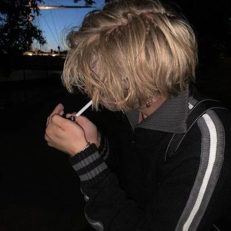 Noah webhook avatar