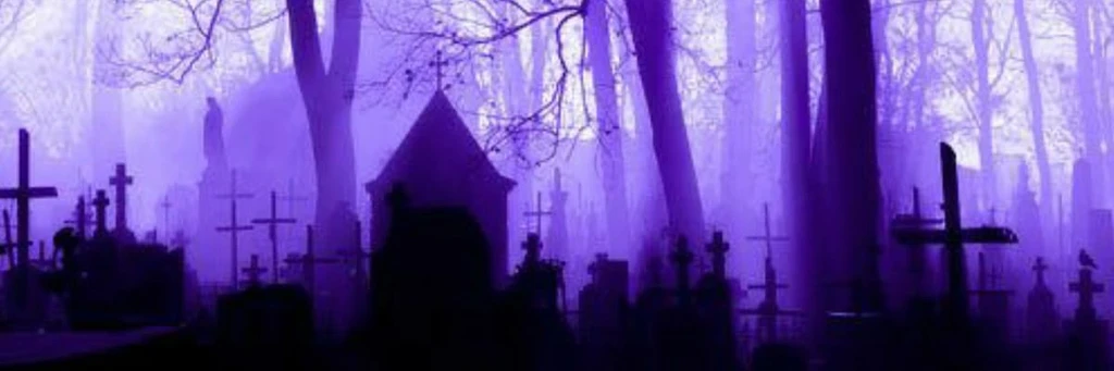 snatcher's banner