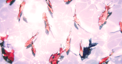 Koi's banner