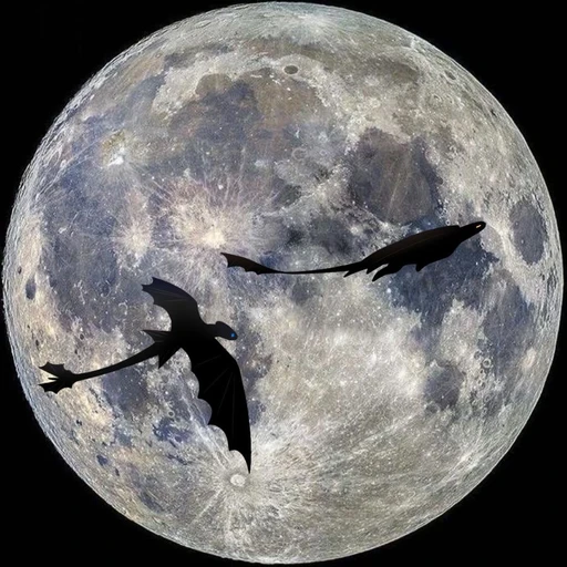 Space's avatar