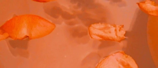 < 🍍 // Jax's banner
