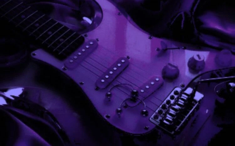 MontyGator's banner