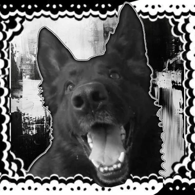 ⟡ ◞◟ ⠀ K-9⠀COLLECTIVE's avatar