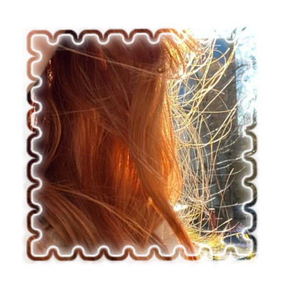 Heidi ¹   •.   doe    ₎'s avatar