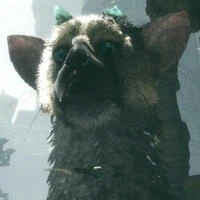 trico's avatar