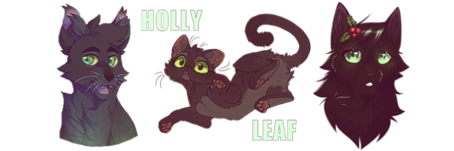 holly's banner