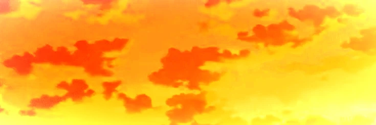 Dogday !! ~ 🌞's banner