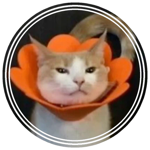 carre's avatar