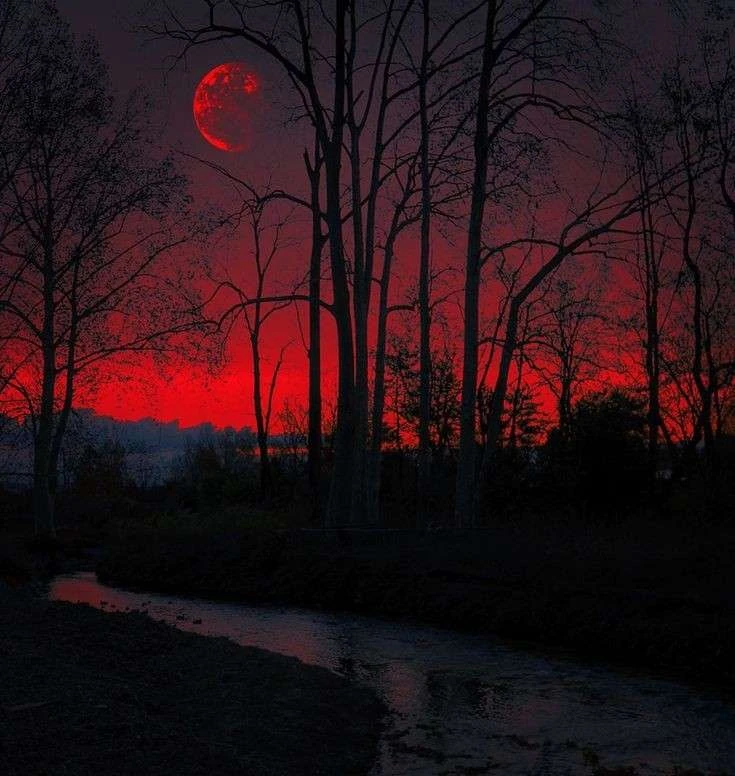 Shiv⭑ 🔺's banner