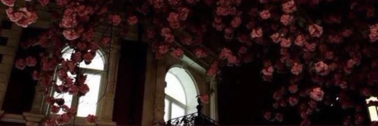 Strawberry Constellations's banner