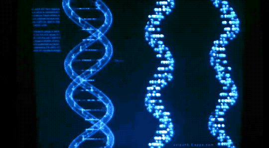 Albert Wesker's banner