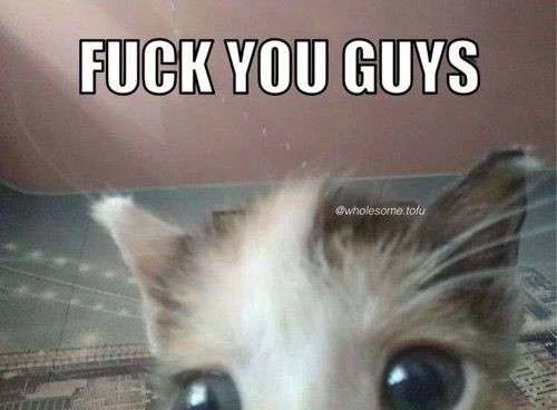 Little nymph⭑ 🐆's banner