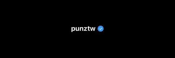 punz's banner