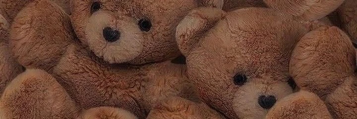 Teddy 🧸 banner
