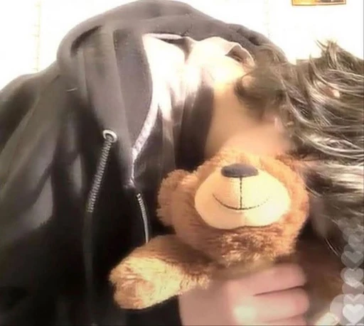 Teddy 🧸