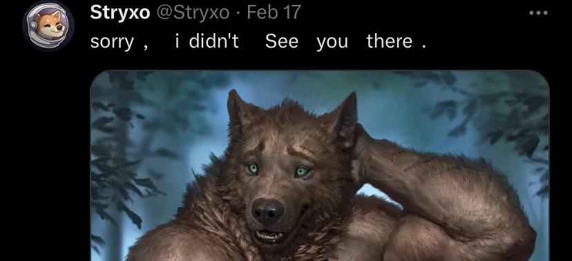 Stryxo's banner