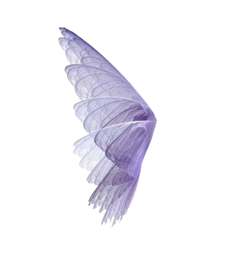 eclipse🪨's avatar