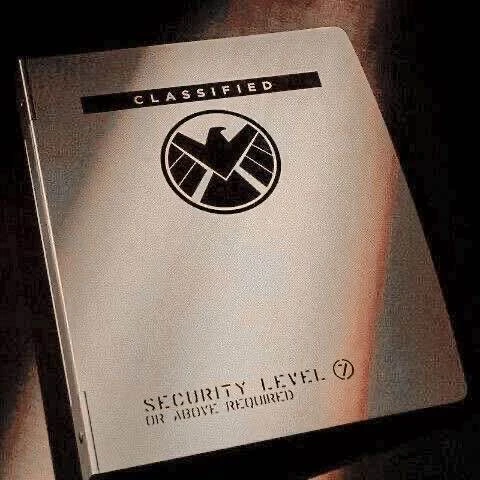 Maria Hill's banner