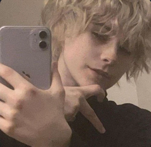 •^Aiden^He/it}•(TVD)•'s avatar