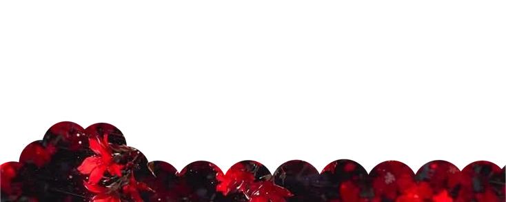 ⭒ laufey  ⁈ » she . flower . heart's banner