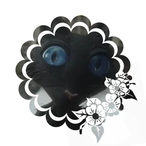 Cat's avatar
