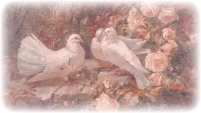 Dove's banner