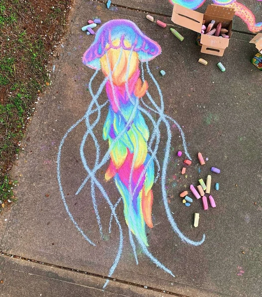 Cecil⭑ 🪼's banner