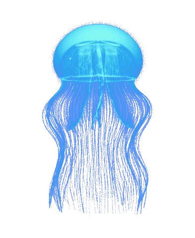sebastian's avatar